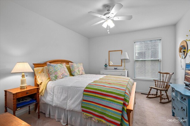 0N296 N Mill Creek Dr, Geneva, IL 60134 - photo 20