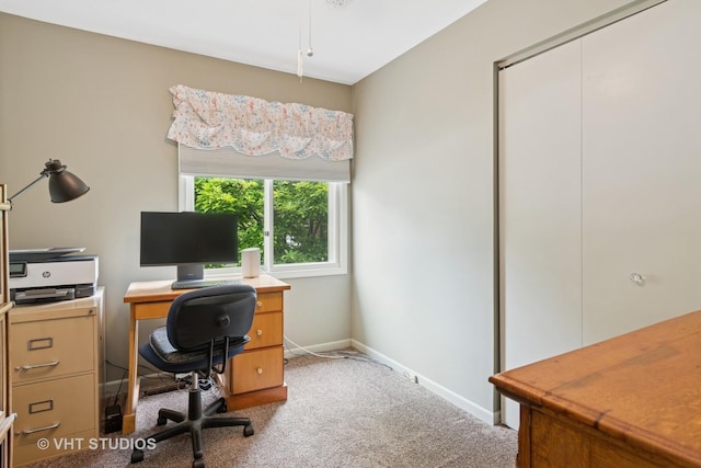 6S024 Westwind Dr, Naperville, IL 60563 - carpeted office space featuring baseboards