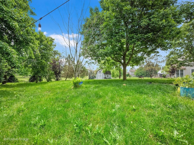 1465 Teal Ct, Hoffman Estates, IL 60192 - view of yard featuring a storage unit