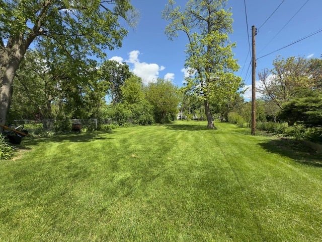 505 S Oakland Ave, Villa Park, IL 60181 - view of yard