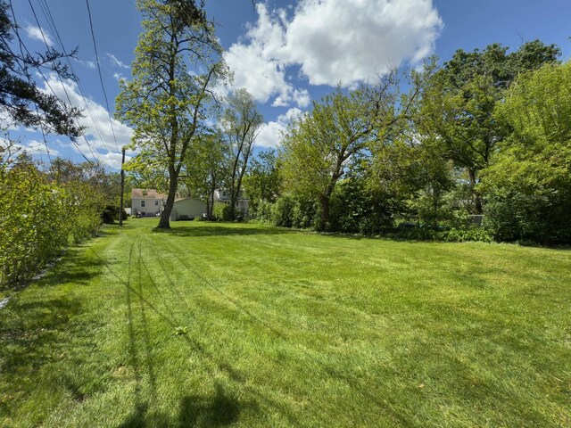 505 S Oakland Ave, Villa Park, IL 60181 - view of grassy yard