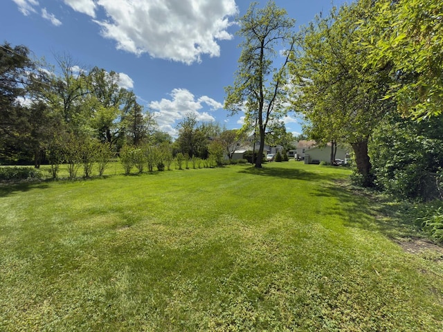 505 S Oakland Ave, Villa Park, IL 60181 - view of grassy yard