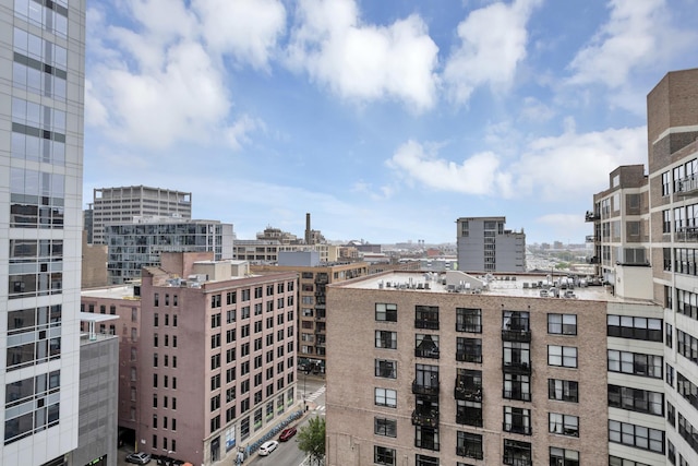 210 S Desplaines St Unit 1102, Chicago, IL 60661 - city view
