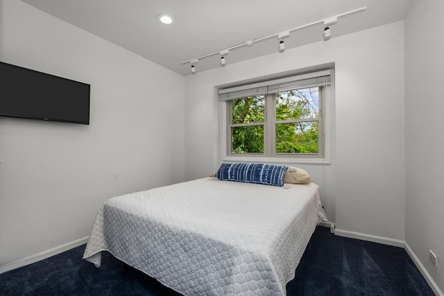 1682 Cavell Ave, Highland Park, IL 60035 - carpeted bedroom with baseboards, rail lighting, and recessed lighting
