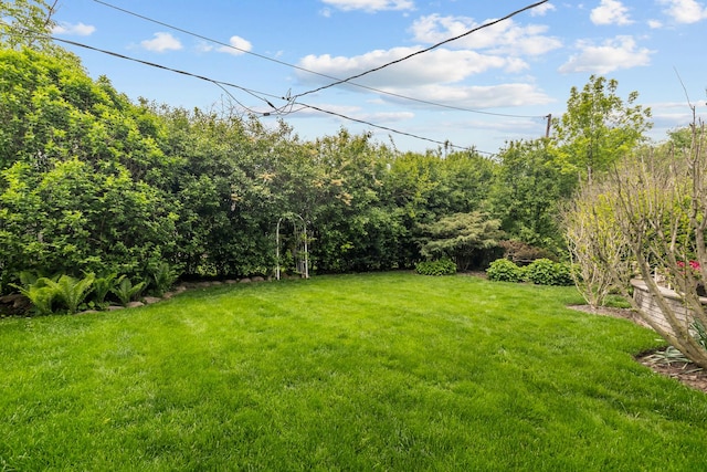 1682 Cavell Ave, Highland Park, IL 60035 - view of green lawn