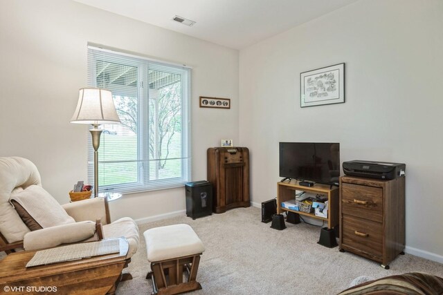 1323 Downs Pkwy Unit 0, Libertyville, IL 60048 - photo 11