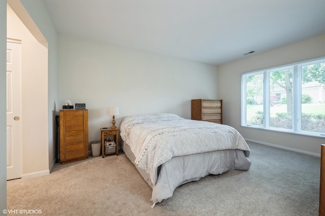 1323 Downs Pkwy Unit 0, Libertyville, IL 60048 - photo 9