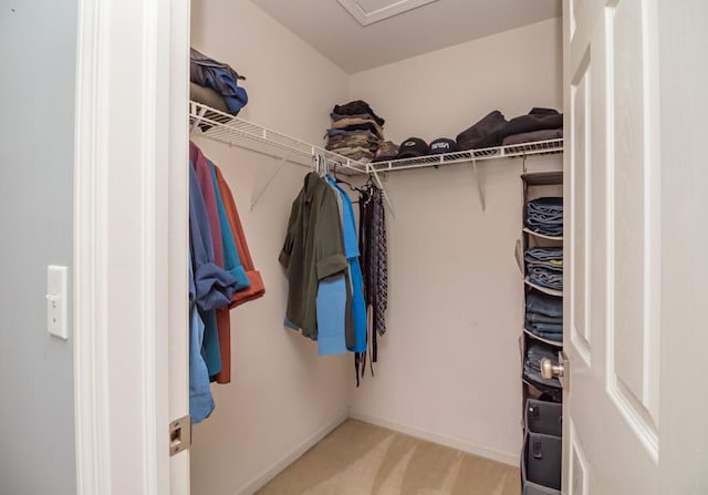 1040 Fairway Dr, Fox Lake, IL 60020 - spacious closet with carpet flooring and attic access