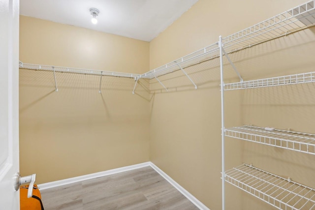 walk in closet featuring wood finished floors