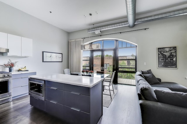 1201 W Wrightwood Ave Unit 22, Chicago, IL 60614 - kitchen featuring stainless steel appliances, modern cabinets, open floor plan, and dark wood-style floors