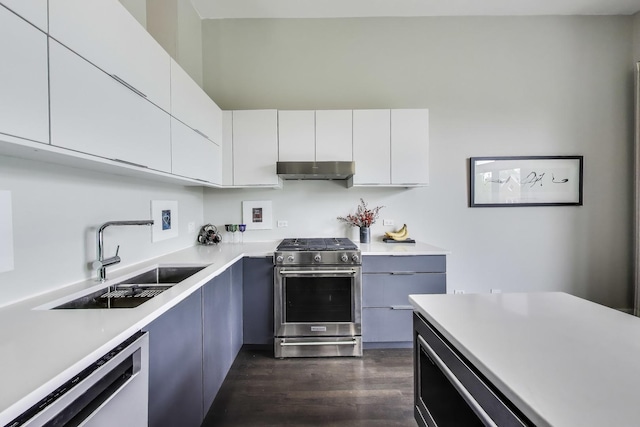 1201 W Wrightwood Ave Unit 22, Chicago, IL 60614 - kitchen with stainless steel appliances, a sink, under cabinet range hood, dark wood finished floors, and light countertops