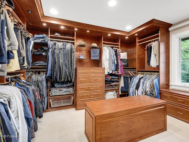 6 Swaps Ct, Oak Brook, IL 60523 - view of walk in closet