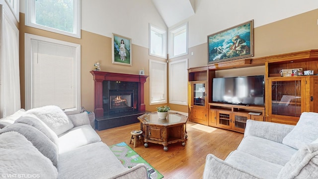 17040 Cheyenne Ct, Lockport, IL 60441 - living area featuring high vaulted ceiling, a high end fireplace, wood finished floors, and healthy amount of natural light