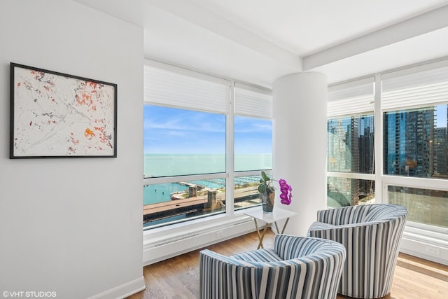 415 E N Water St Unit 2203, Chicago, IL 60611 - living area with a water view, wood finished floors, and a city view