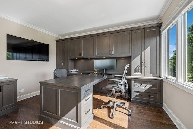 1559 S Paul Le Comte Ct, Palatine, IL 60067 - office space with baseboards, ornamental molding, dark wood finished floors, and built in desk