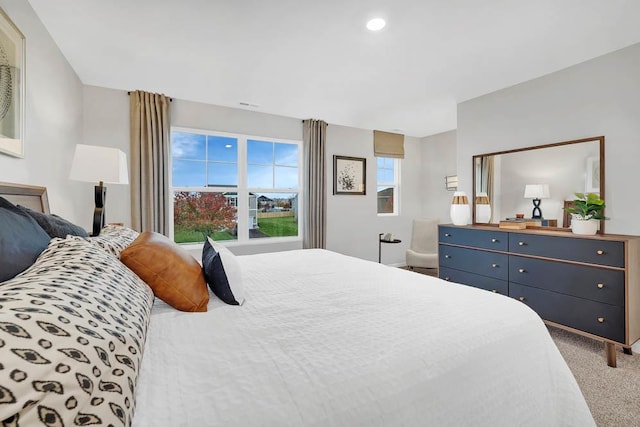 4203 High Point Ct, Joliet, IL 60436 - bedroom featuring carpet