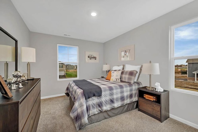 4203 High Point Ct, Joliet, IL 60436 - bedroom with light carpet, multiple windows, and baseboards