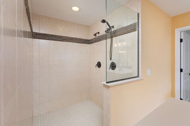 677 Slate Run, Elgin, IL 60124 - full bath with tiled shower and recessed lighting
