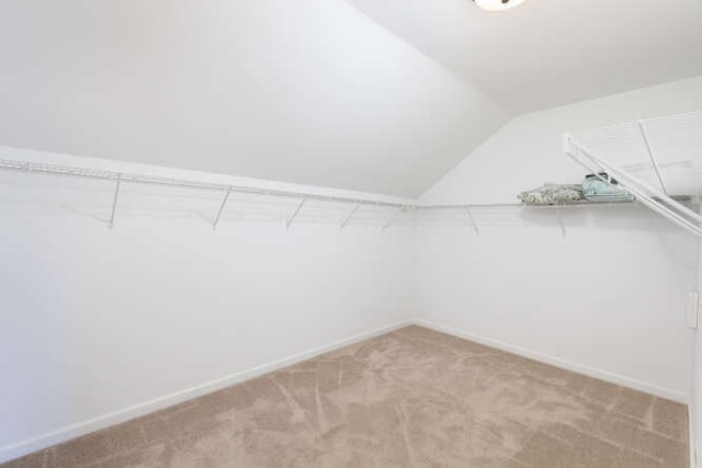 677 Slate Run, Elgin, IL 60124 - spacious closet featuring carpet floors and vaulted ceiling