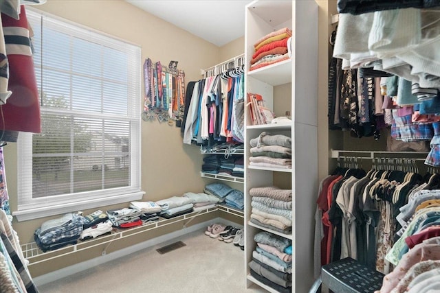 605 Acorn Ct, Antioch, IL 60002 - walk in closet featuring carpet flooring