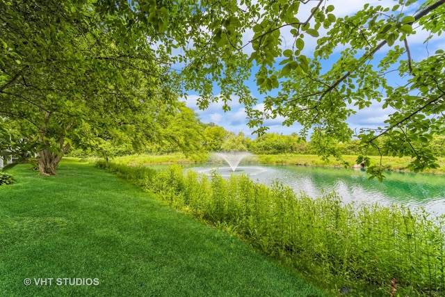 128 Pembroke Cir, Lake Bluff, IL 60044 - photo 23