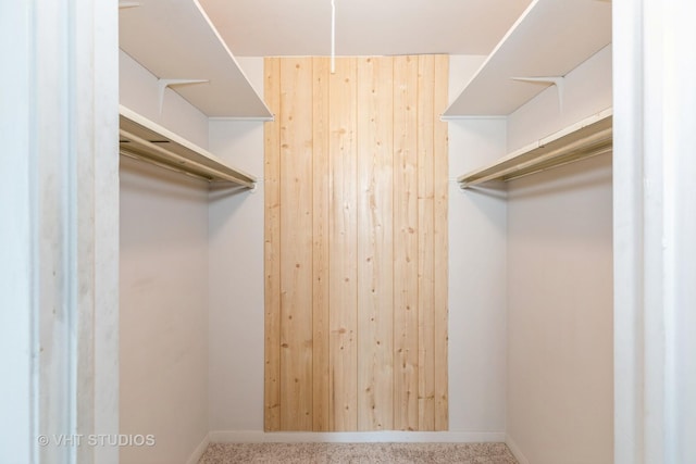 5 E Carriageway Dr Unit 209, Hazel Crest, IL 60429 - walk in closet with carpet floors