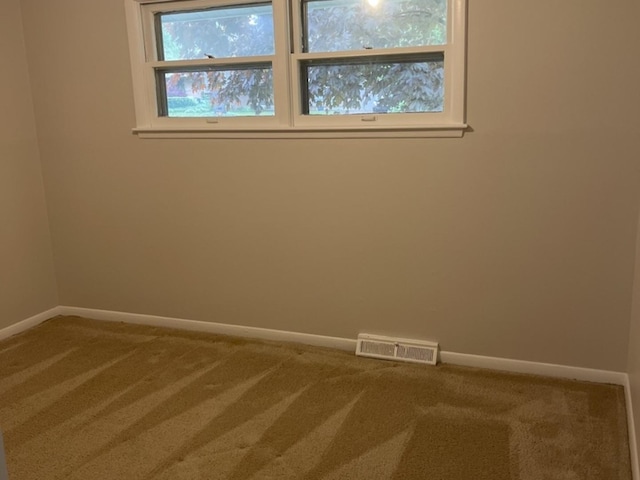 807 Finch Trl, Mchenry, IL 60051 - spare room with carpet and baseboards