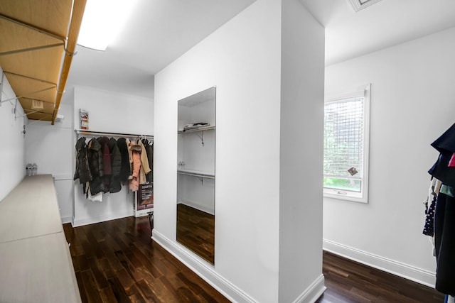 24161 Brancaster Dr, Naperville, IL 60564 - spacious closet featuring wood finished floors