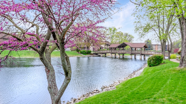 601 Lake Hinsdale Dr Unit 511, Willowbrook, IL 60527 - photo 38