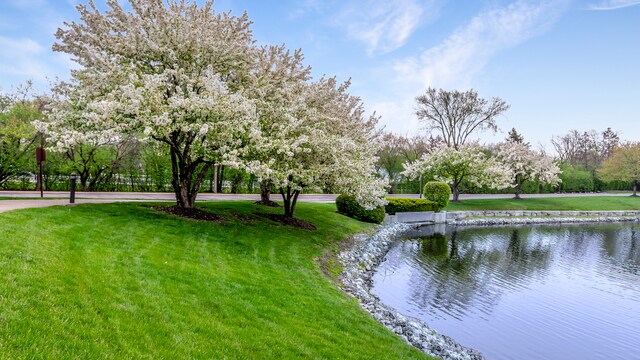 601 Lake Hinsdale Dr Unit 511, Willowbrook, IL 60527 - photo 45