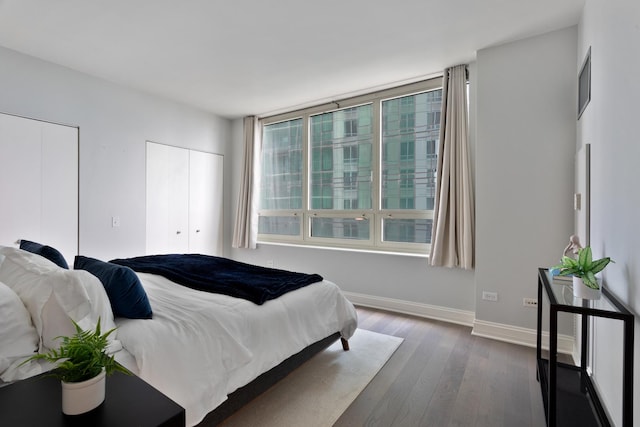 1111 S Wabash Ave Unit 1604, Chicago, IL 60605 - bedroom featuring multiple closets, baseboards, and dark wood-style floors