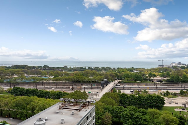 1111 S Wabash Ave Unit 1604, Chicago, IL 60605 - water view with a tree filled landscape