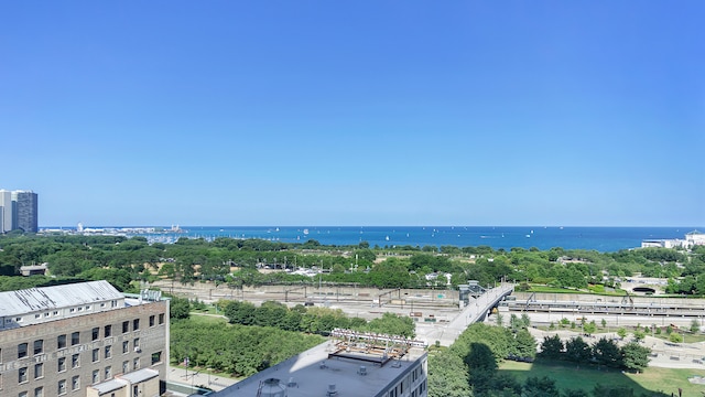 1111 S Wabash Ave Unit 1604, Chicago, IL 60605 - water view