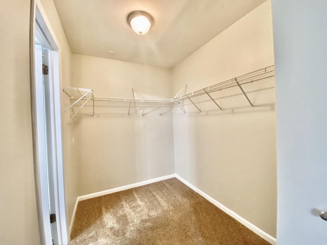 22962 Bruce Dr, Richton Park, IL 60471 - spacious closet featuring carpet floors