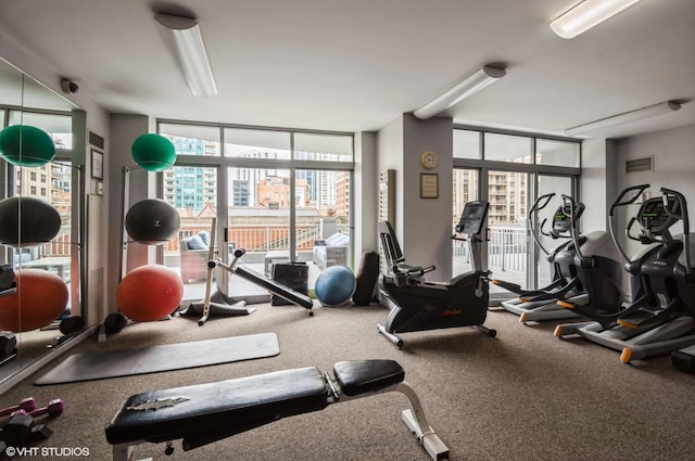600 N Dearborn St Unit 1307, Chicago, IL 60654 - workout area featuring floor to ceiling windows, plenty of natural light, and carpet