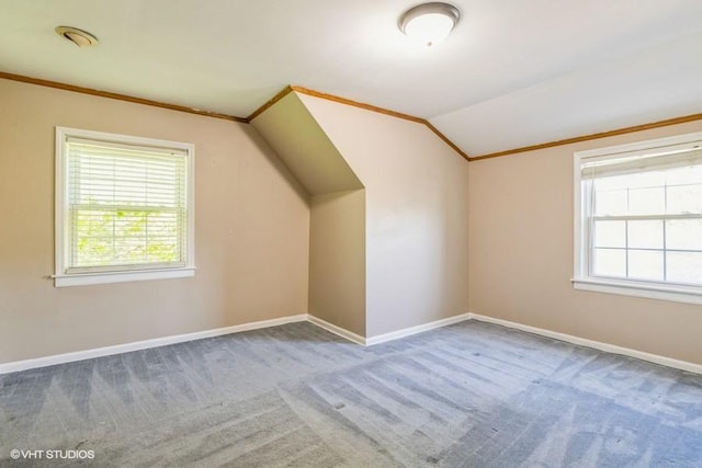 2140 Cedar Ct, Glenview, IL 60025 - bonus room with carpet floors, healthy amount of natural light, baseboards, and lofted ceiling