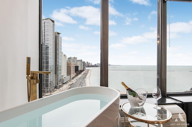 505 N Lake Shore Dr Unit 2017, Chicago, IL 60611 - water view with nearby urban area