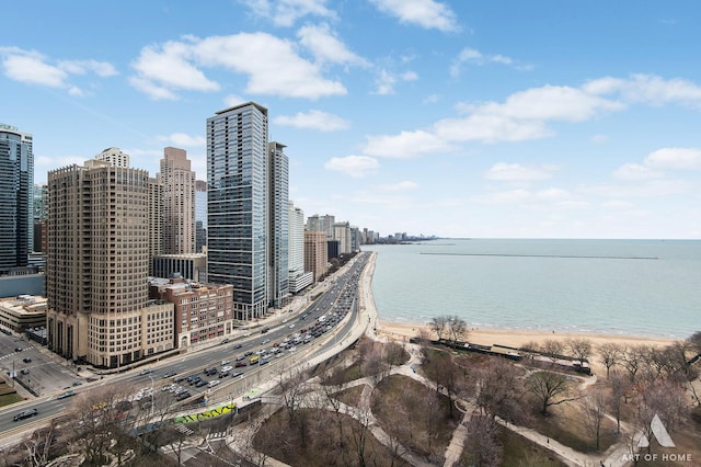505 N Lake Shore Dr Unit 2017, Chicago, IL 60611 - water view featuring nearby urban area and local beach