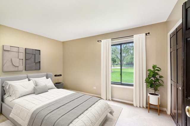 7333 Grand Ave Unit 102, Downers Grove, IL 60516 - bedroom with light carpet and baseboards