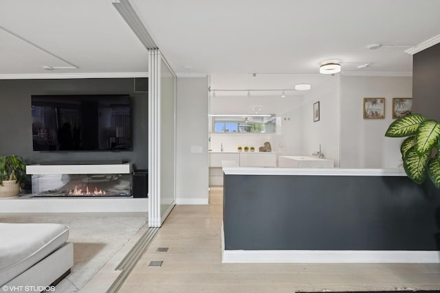 1516 N State Pkwy Unit 5D, Chicago, IL 60610 - living area with wood finished floors, ornamental molding, a warm lit fireplace, baseboards, and rail lighting
