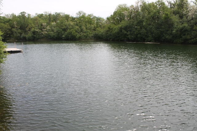 water view featuring a floating dock and a forest