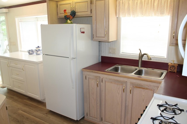 kitchen featuring freestanding refrigerator, a sink, wood finished floors, and light brown cabinetry