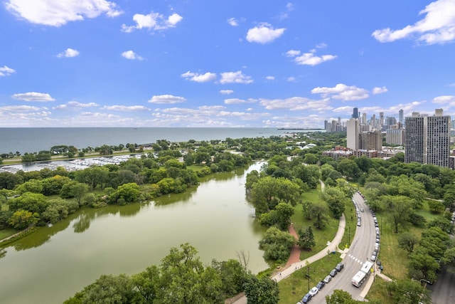 2550 N Lakeview Ave Unit S2005, Chicago, IL 60614 - aerial view of a nearby body of water, city skyline, and a tree filled landscape