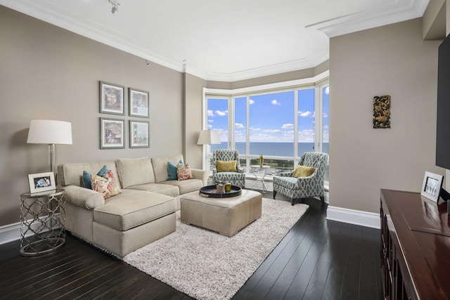 2550 N Lakeview Ave Unit S2005, Chicago, IL 60614 - living area with dark wood-style flooring, ornamental molding, baseboards, and a water view
