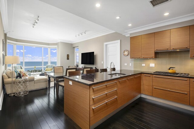 2550 N Lakeview Ave Unit S2005, Chicago, IL 60614 - kitchen with a sink, stainless steel gas cooktop, open floor plan, brown cabinets, and crown molding