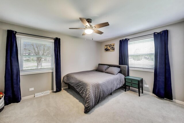 2481 Benton St, Palatine, IL 60067 - bedroom with multiple windows, carpet floors, and baseboards