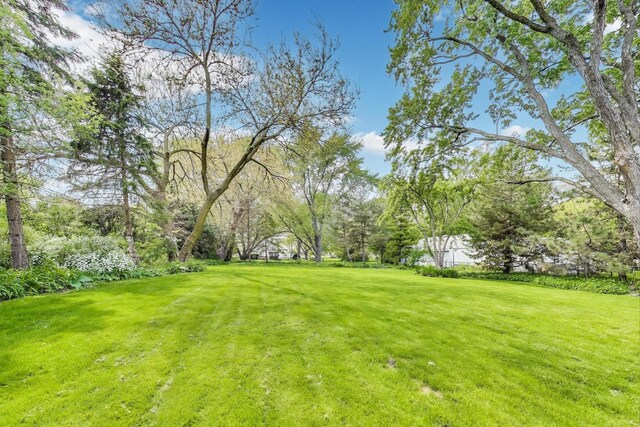 2481 Benton St, Palatine, IL 60067 - view of grassy yard