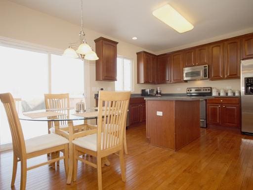 254 S Cranberry St, Bolingbrook, IL 60490 - kitchen with appliances with stainless steel finishes, a center island, wood finished floors, decorative light fixtures, and a chandelier