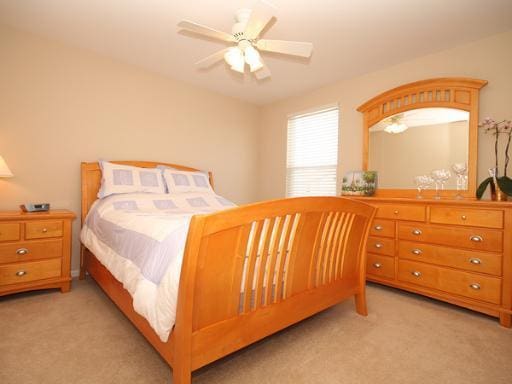 254 S Cranberry St, Bolingbrook, IL 60490 - bedroom featuring light colored carpet and ceiling fan