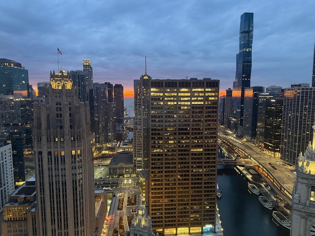 405 N Wabash Ave Unit 4308, Chicago, IL 60611 - view of city skyline featuring a nearby body of water